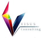 Visus Consulting