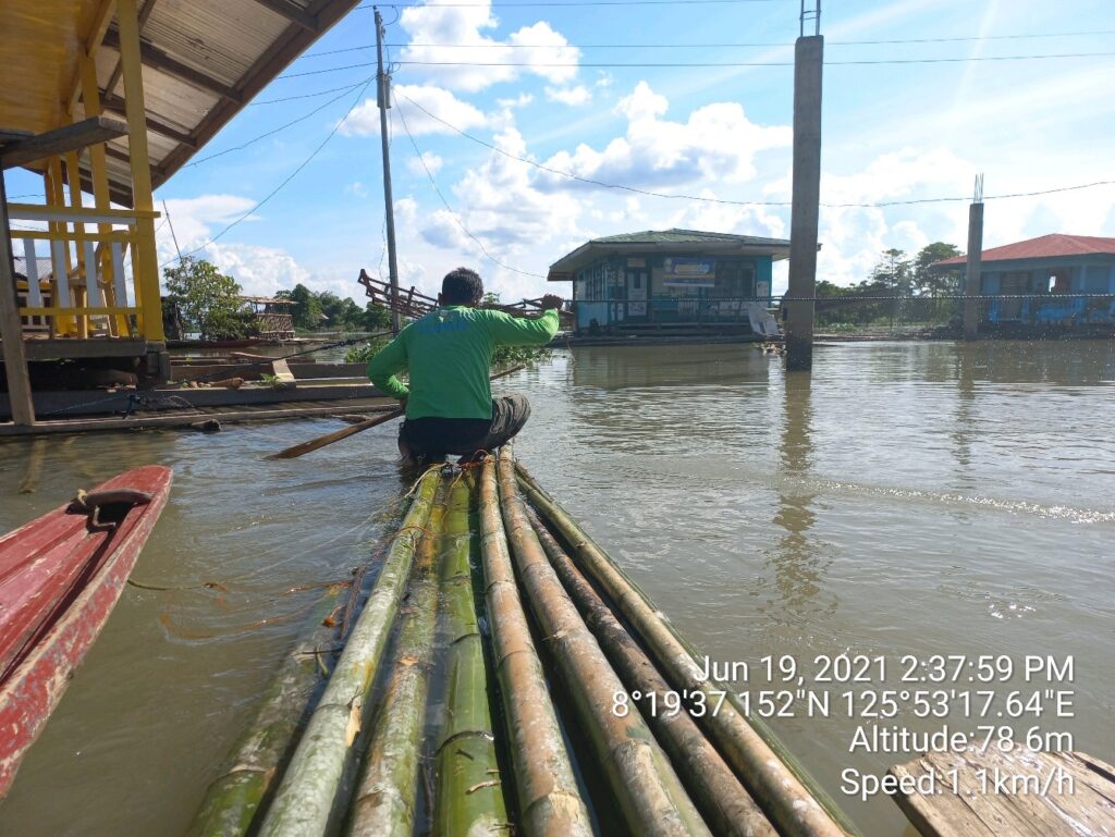 A Bantay Danao towing bamboo poles for the floating garden